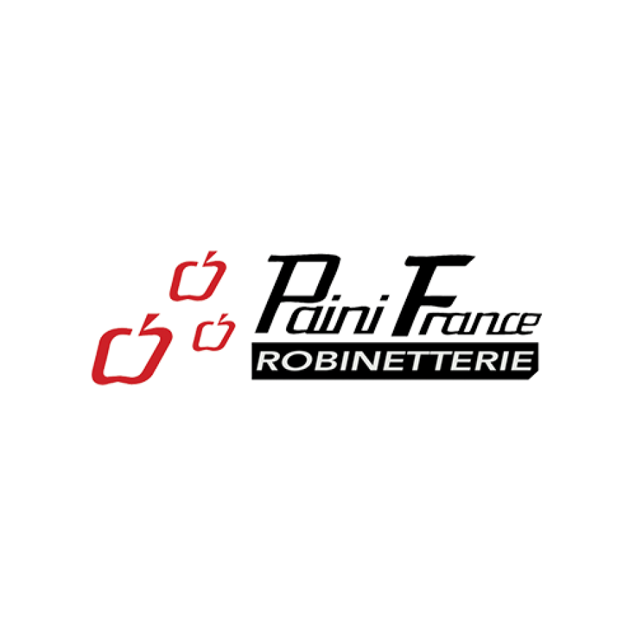 Logo Panini France